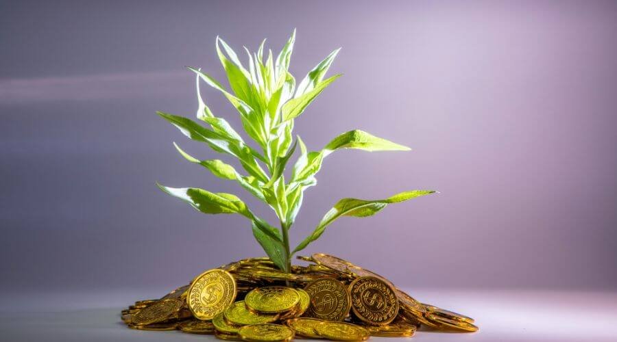 5starsstocks.com best stocks